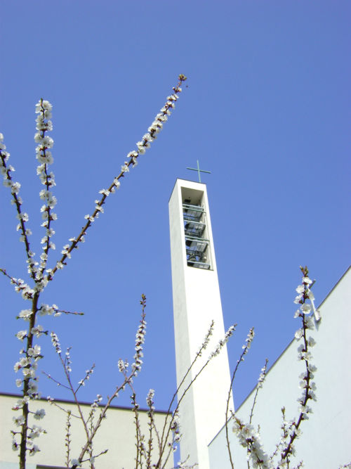Kirchturm zu Linz – St. Peter